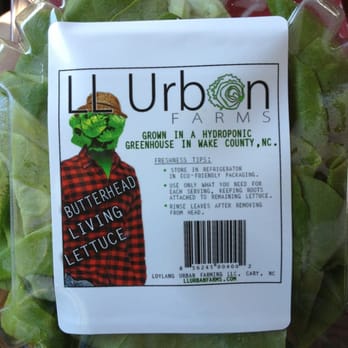 LL Urban Farms - $3 for hydroponic lettuce. - Farmers Market Near Me - Raleigh, North Carolina LL Urban Farms - $3 for hydroponic lettuce. - Farmers Market Near Me - Raleigh, North Carolina
