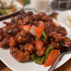 Tokyo Express - Sweet and Sour Pork