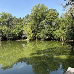 Pond