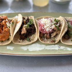 Ancho & Agave