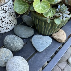 Fair Oaks Boulevard Nursery - Plants