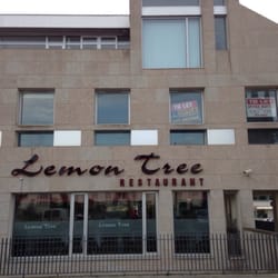 Lemon Tree