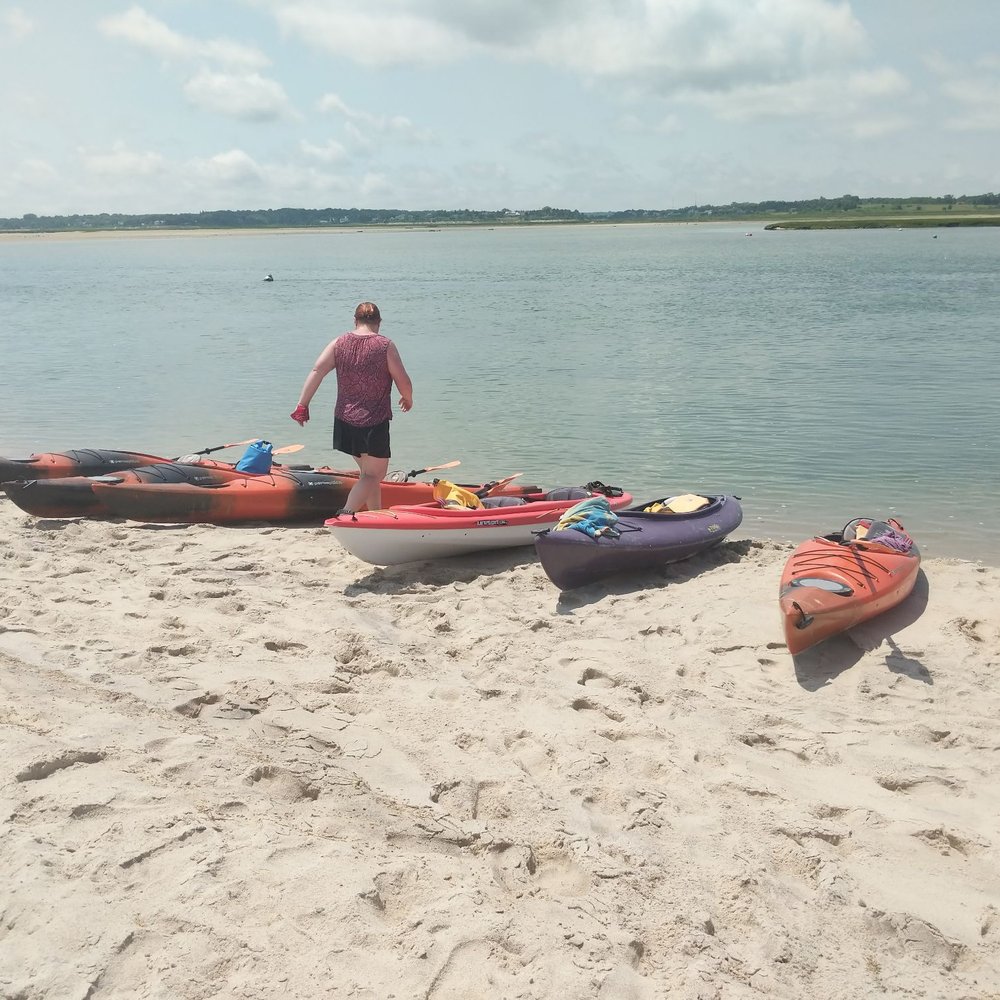 Cape Marsh Kayaking - We stopped here and went to see the seals that were fishing nearby. - Rafting/Kayaking Near Me