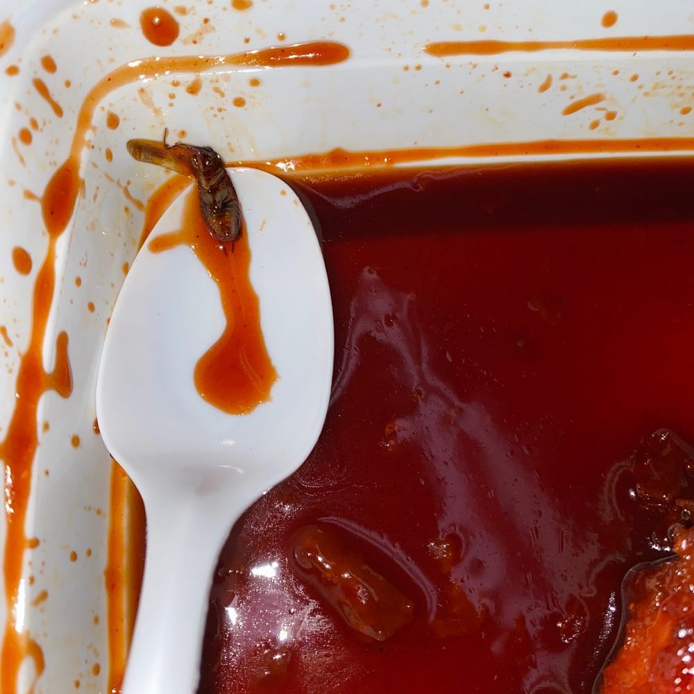 Hunan Odenton - Bug - Chinese Near Me - Odenton, Maryland