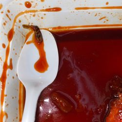 Hunan Odenton - Bug