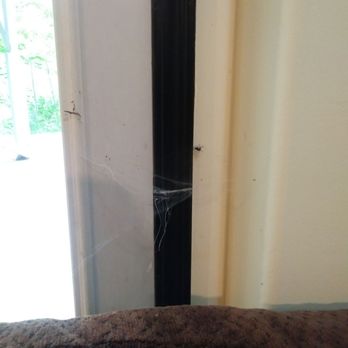 Mysty Mountain Properties - Spiders nests and cobwebs throughout - Vacation Rental Agents Near Me - Seattle, Washington Mysty Mountain Properties - Spiders nests and cobwebs throughout - Vacation Rental Agents Near Me - Seattle, Washington