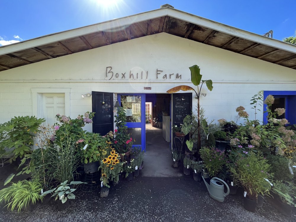 BOXHILL FARM & NURSERY Updated August 2024 13 Photos 14175 Carnation Dvll Rd NE, Duvall