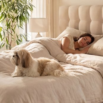 Sleep Number - Mattresses Near Me - Gurnee, Illinois Sleep Number - Mattresses Near Me - Gurnee, Illinois