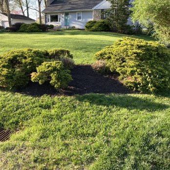 Spivey Bros - two bushes in the front yard - Lawn Services Near Me Spivey Bros - two bushes in the front yard - Lawn Services Near Me