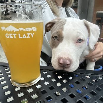Lazy Hiker Brewing Company - Happy Friday - Breweries Near Me - Franklin, North Carolina Lazy Hiker Brewing Company - Happy Friday - Breweries Near Me - Franklin, North Carolina