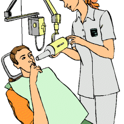 Dr. med. Sybille Stolle