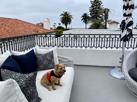 Orli La Jolla by null