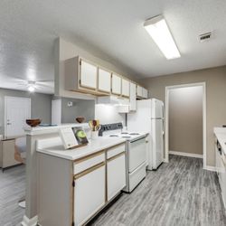 Mockingbird Lane Plaza - Fully equipped kitchens at Mockingbird Lane Plaza