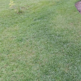 Weed Man - Pest Control Near Me - Myrtle Beach, South Carolina