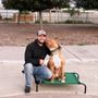 Photo of Cosmo K9 Obedience