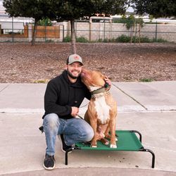 Cosmo K9 Obedience