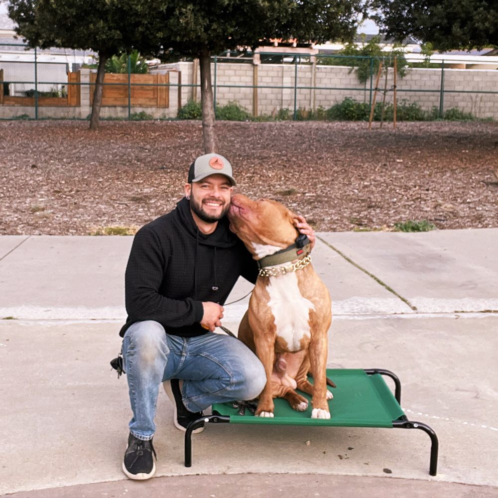 Cosmo K9 Obedience - pet boarding facility in Valley Center, CA