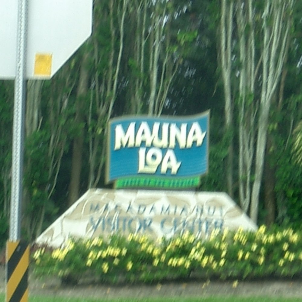 Mauna Loa Macadamia Nut - Chocolatiers & Shops Near Me - Keaau, Hawaii Mauna Loa Macadamia Nut - Chocolatiers & Shops Near Me - Keaau, Hawaii