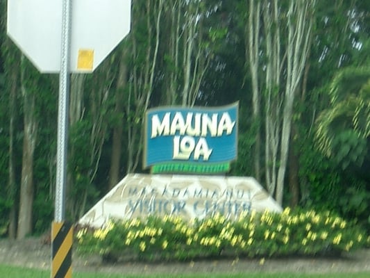 Mauna Loa Macadamia Nut Visitor Center by null