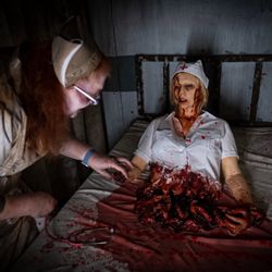 Nightmare Forest
