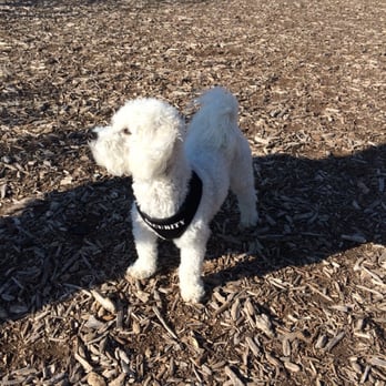 McKinney Dog Park - Dog Parks Near Me - McKinney, Texas