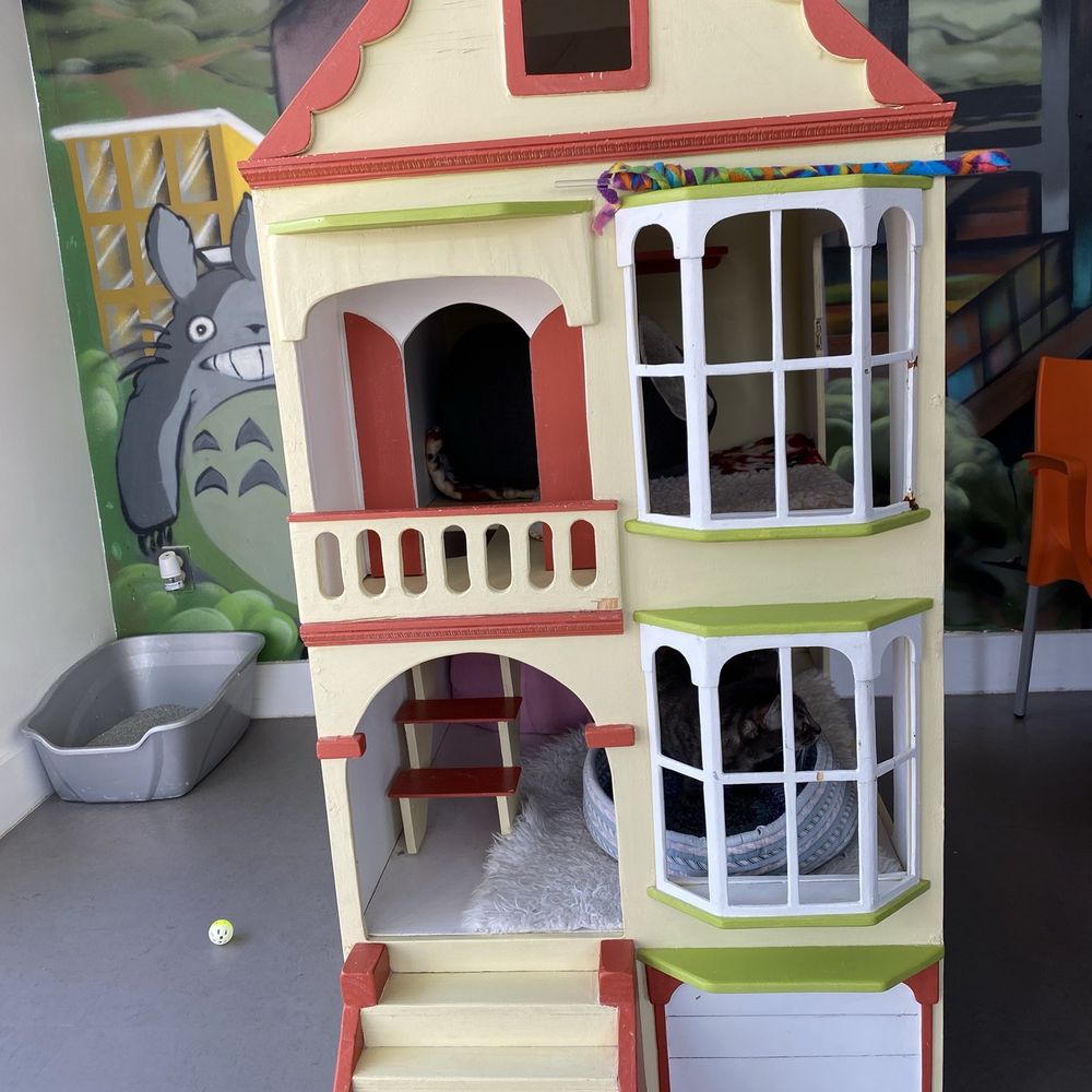 Cat Town - Cat house - Animal Shelters Near Me - Oakland, California Cat Town - Cat house - Animal Shelters Near Me - Oakland, California