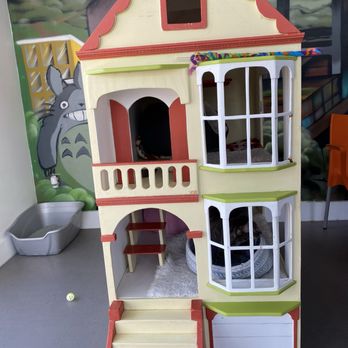 Cat Town - Cat house - Animal Shelters Near Me - Oakland, California Cat Town - Cat house - Animal Shelters Near Me - Oakland, California