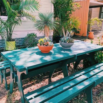 Oasis Plant Shop - Nurseries & Gardening Near Me - Dallas, Texas