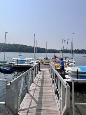 Jamaica Pond Park by null