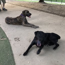 Taking a play break