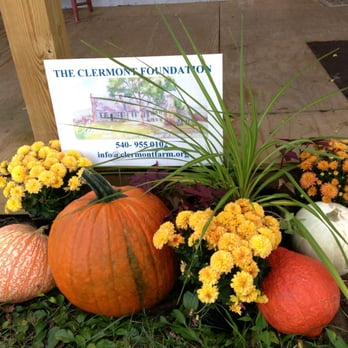 Clermont Farm - a display of pumpkins and flowers - Farmers Market Near Me - Berryville, Virginia Clermont Farm - a display of pumpkins and flowers - Farmers Market Near Me - Berryville, Virginia