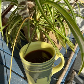 The Woods - a cup of coffee and a plant - New American Near Me - Lone Rock, Wisconsin The Woods - a cup of coffee and a plant - New American Near Me - Lone Rock, Wisconsin