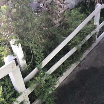 Bryn Mawr Ocean Resort - Fencing but the bathroom that is in need of repair. - Resorts Near Me - Saint Augustine, Florida Bryn Mawr Ocean Resort - Fencing but the bathroom that is in need of repair. - Resorts Near Me - Saint Augustine, Florida