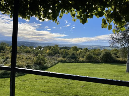 Stonecat: Regional Cuisine & Bar by null