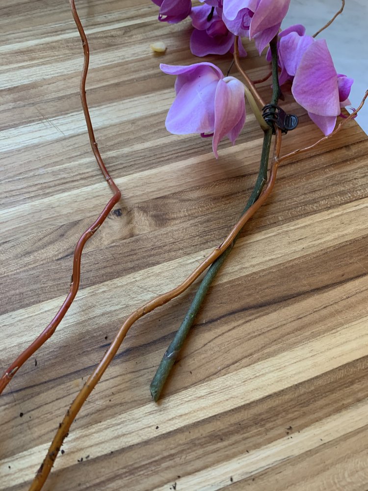 JACK’S HOUSE OF FLOWERS Updated August 2024 23 Photos & 24 Reviews 214 Spratt St, Ft. Mill