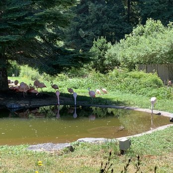 Sequoia Park Zoo - Zoos Near Me - Eureka, California