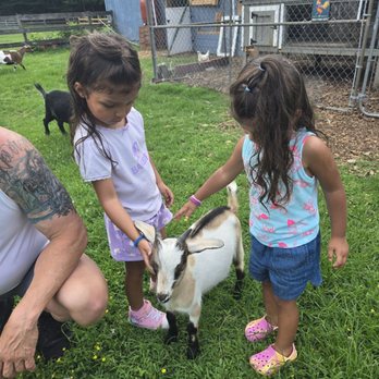 Papa's Farm and Mini Friends - Petting Zoos Near Me - Howell, New Jersey