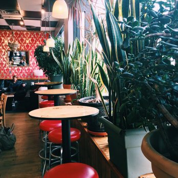 Pablo's Coffee - Alllllll of the plants, please. - Coffee & Tea Near Me - Denver, Colorado