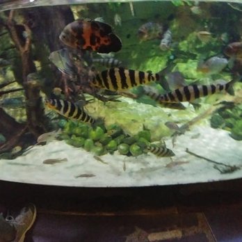 L'Aquarium - Aquariums Near Me - Paris, 75