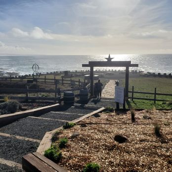 Pacific Star Winery - Wineries Near Me - Fort Bragg, California Pacific Star Winery - Wineries Near Me - Fort Bragg, California