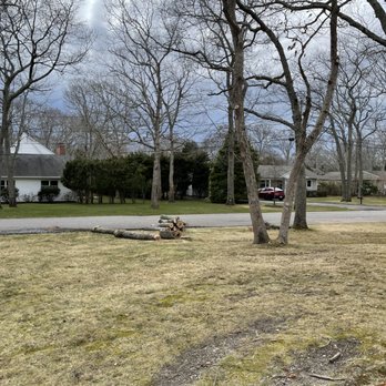 Hernandez Tree Care Service - Tree Services Near Me - Selden, New York Hernandez Tree Care Service - Tree Services Near Me - Selden, New York