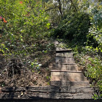 Acosta Tree Service - Tree Services Near Me Acosta Tree Service - Tree Services Near Me