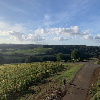Willamette Valley Vineyards - Another view from the balcony. - Wineries Near Me - Turner, Oregon Willamette Valley Vineyards - Another view from the balcony. - Wineries Near Me - Turner, Oregon