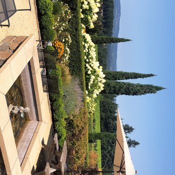 Alloro Vineyard - Beautiful grounds with Amazing views - Wineries Near Me - Sherwood, Oregon Alloro Vineyard - Beautiful grounds with Amazing views - Wineries Near Me - Sherwood, Oregon