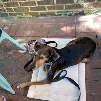Another Broken Egg Cafe - Dog friendly. - Breakfast & Brunch Near Me - Mountain Brook, Alabama