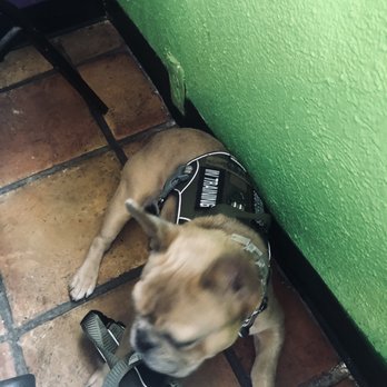 Pepe's Cafe - Pet friendly - Mexican Near Me - Ozona, Texas Pepe's Cafe - Pet friendly - Mexican Near Me - Ozona, Texas