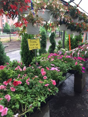 Farmers market in Kirkwood by null