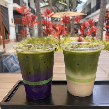 Maui Matcha - Bubble Tea Near Me - Wailea, Hawaii Maui Matcha - Bubble Tea Near Me - Wailea, Hawaii