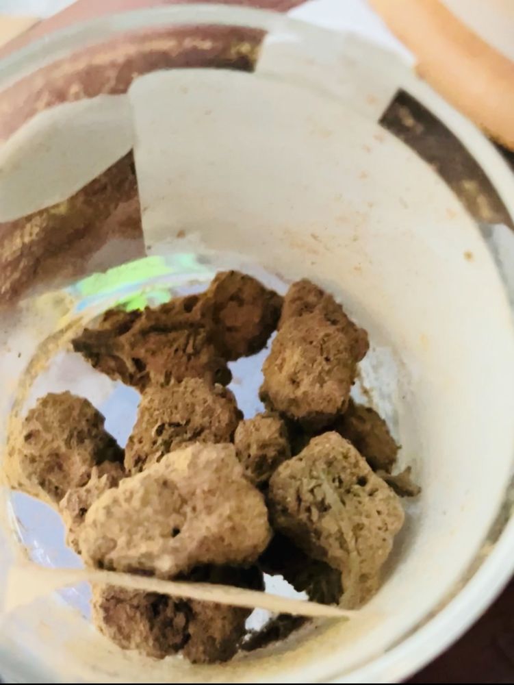 THE GREEN LEAF CANNABIS Updated September 2024 23 Photos 1802 N