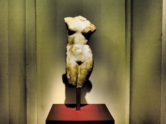 Musée Saint-Raymond by null